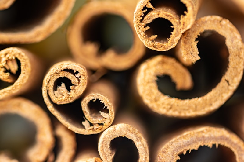 Cinnamon Bark Extract